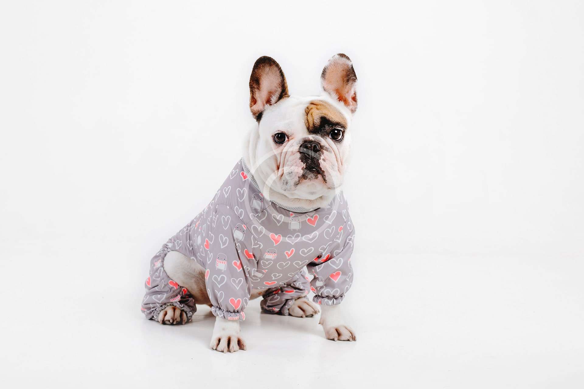 Dog Raincoat
