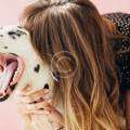 How To Handle Dog Walking In Bad Weather