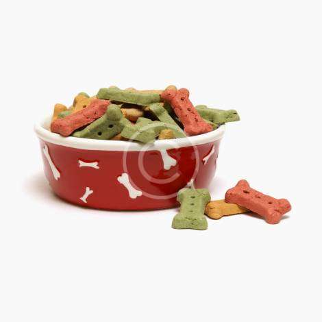 Dry Dog Food